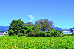 忍勝寺山古墳